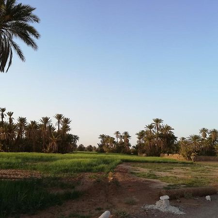 Kasbah Les Alizes Du Desert M'Hamid El Ghizlane Exterior foto