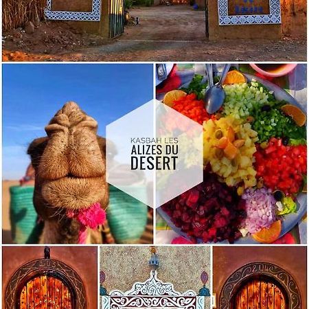 Kasbah Les Alizes Du Desert M'Hamid El Ghizlane Exterior foto