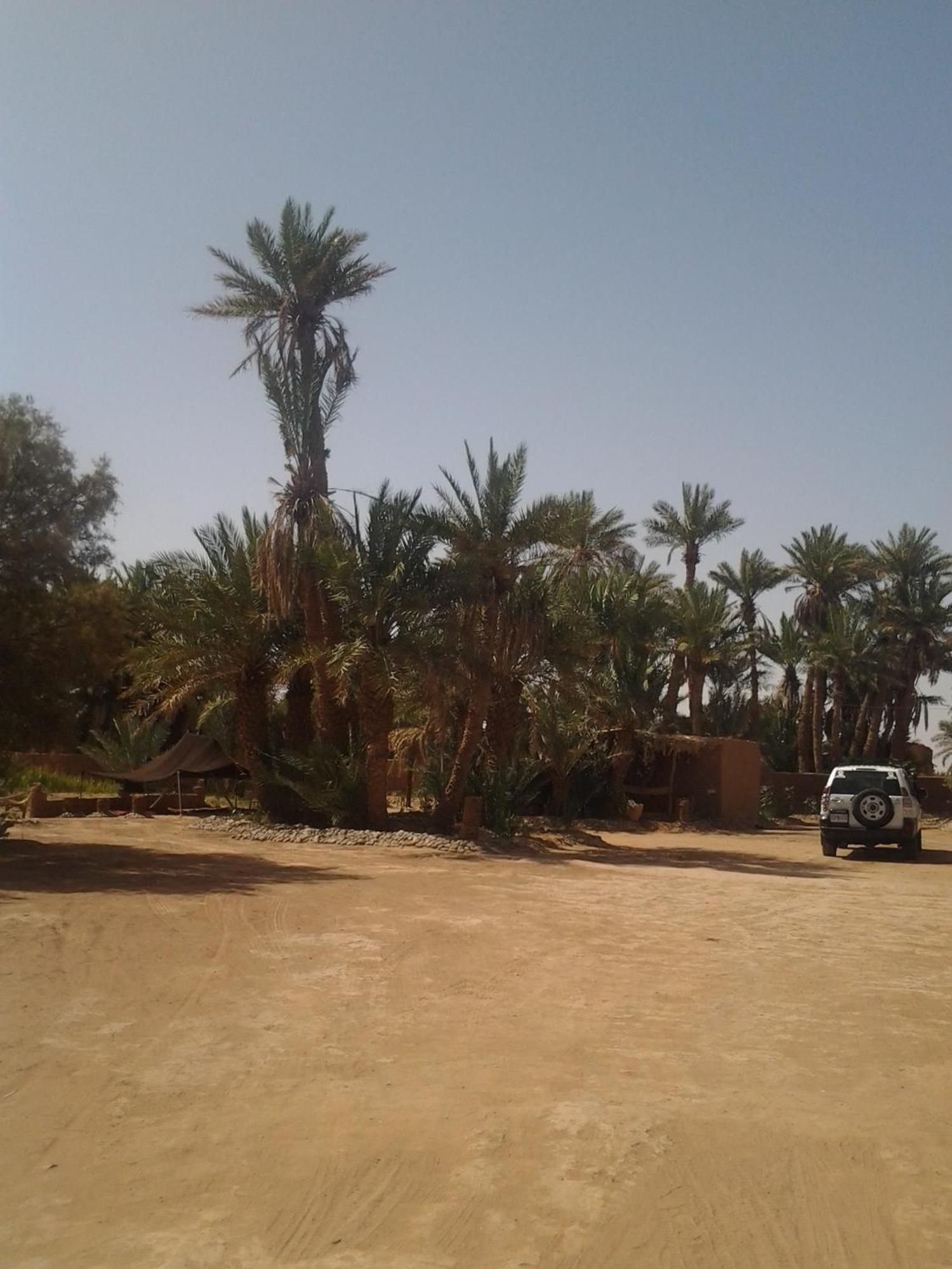 Kasbah Les Alizes Du Desert M'Hamid El Ghizlane Exterior foto