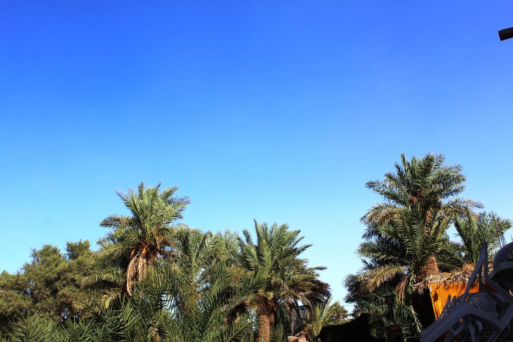 Kasbah Les Alizes Du Desert M'Hamid El Ghizlane Exterior foto