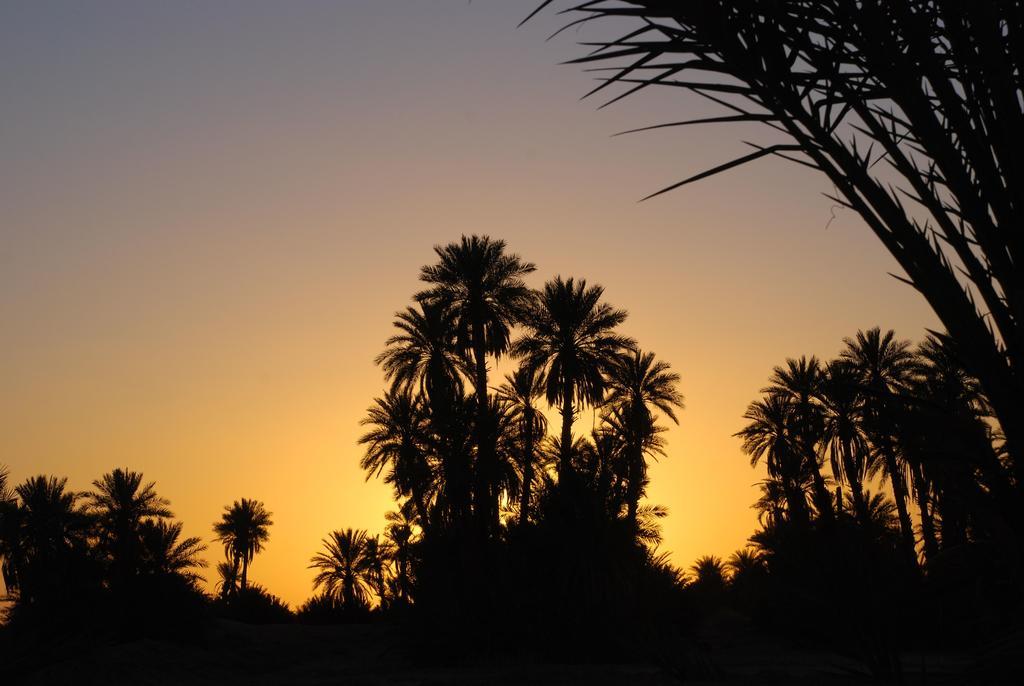 Kasbah Les Alizes Du Desert M'Hamid El Ghizlane Exterior foto