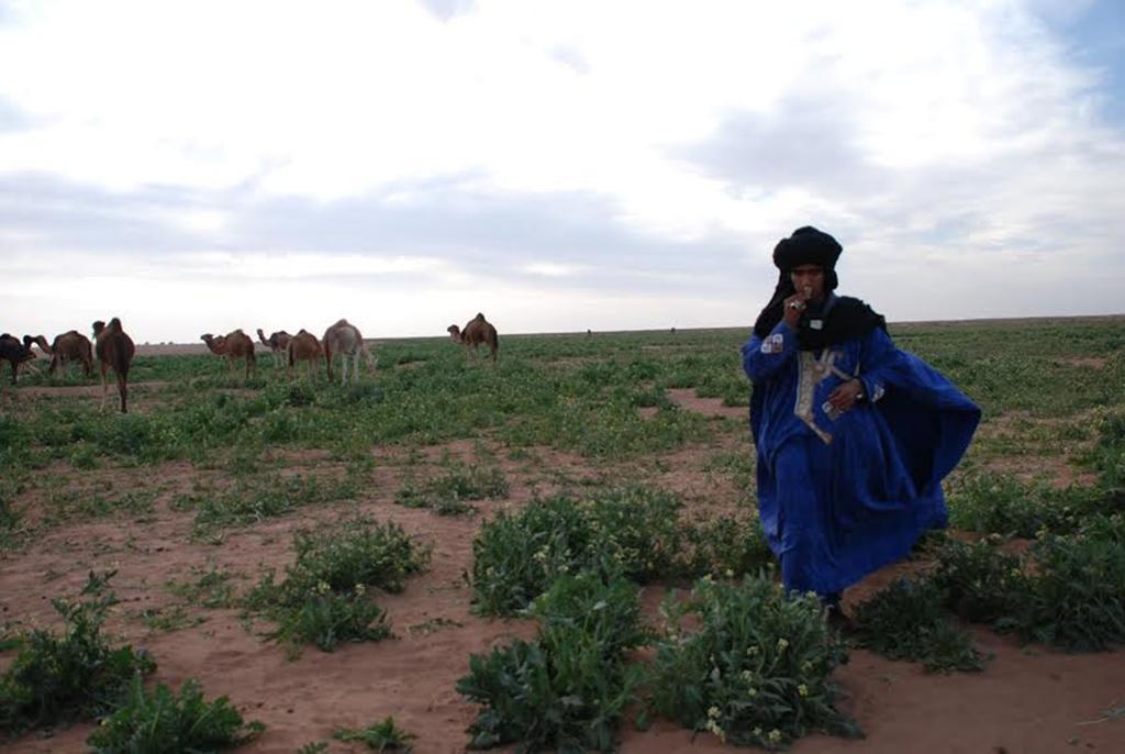 Kasbah Les Alizes Du Desert M'Hamid El Ghizlane Exterior foto