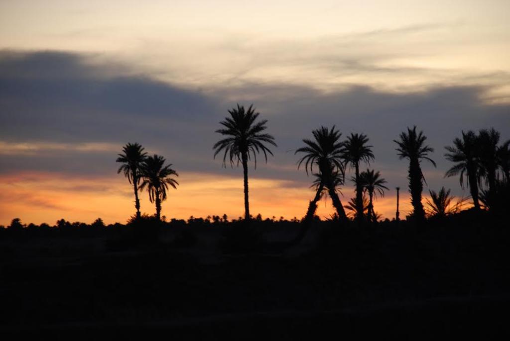 Kasbah Les Alizes Du Desert M'Hamid El Ghizlane Exterior foto