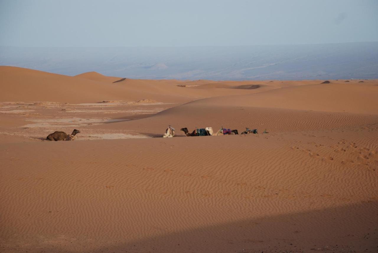 Kasbah Les Alizes Du Desert M'Hamid El Ghizlane Exterior foto