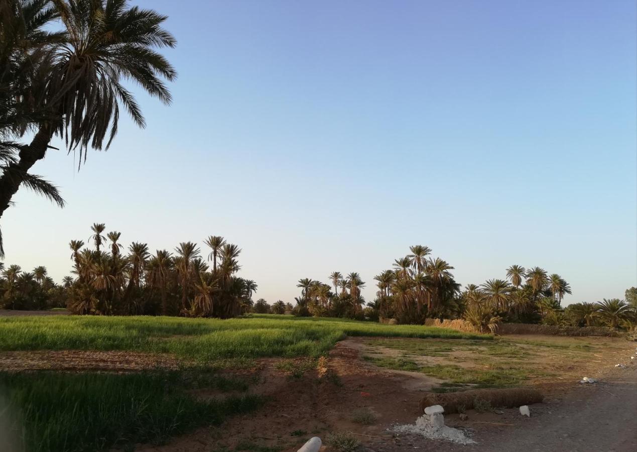 Kasbah Les Alizes Du Desert M'Hamid El Ghizlane Exterior foto