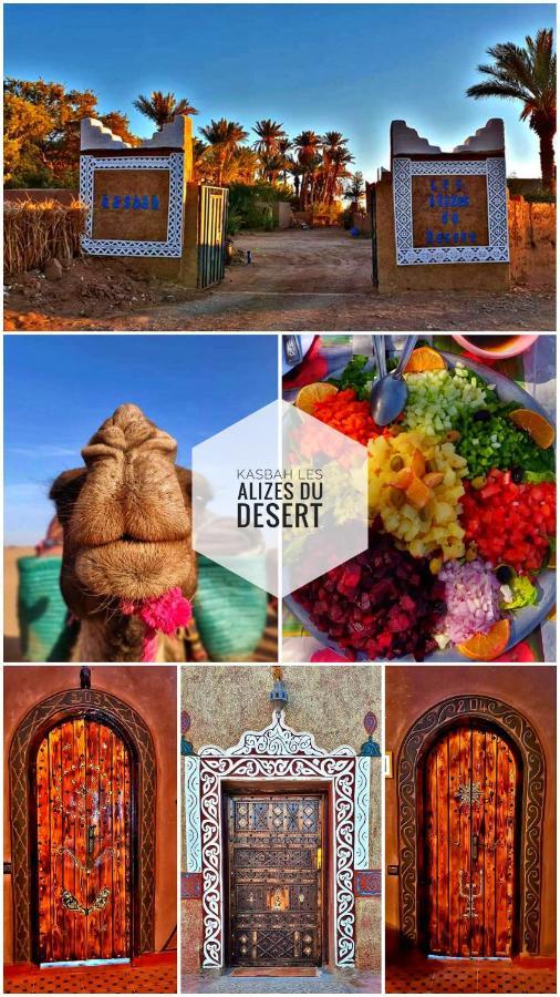 Kasbah Les Alizes Du Desert M'Hamid El Ghizlane Exterior foto