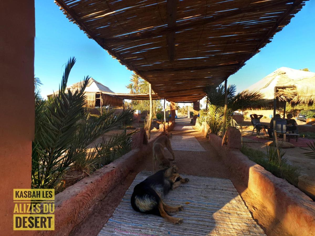 Kasbah Les Alizes Du Desert M'Hamid El Ghizlane Exterior foto